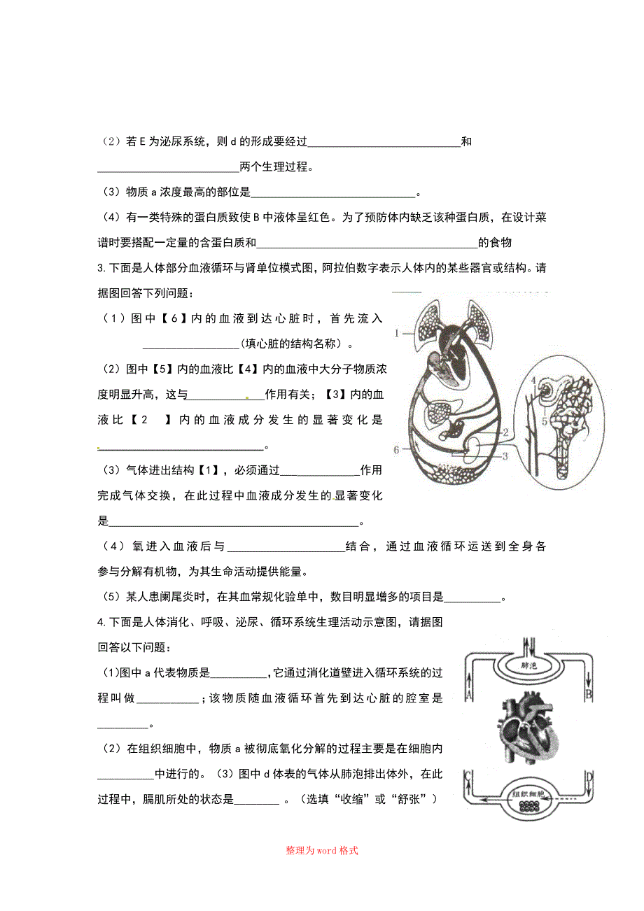 泌尿系统习题(含答案)_第2页