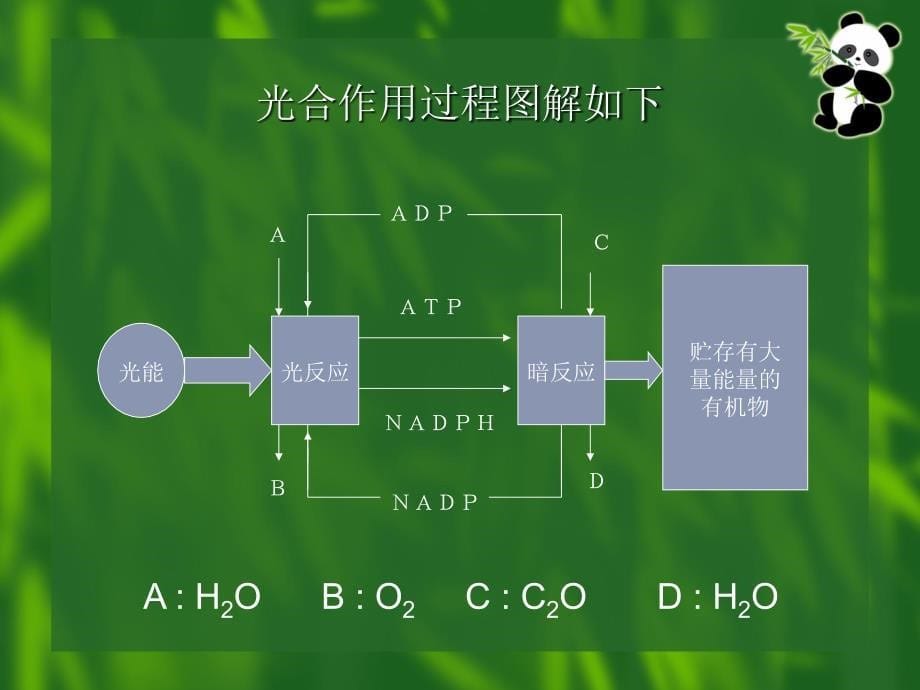 自然科学基础4第四章_第5页