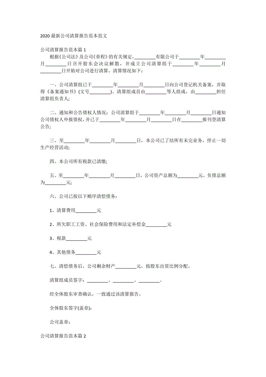 2020最新公司清算报告范本范文_第1页