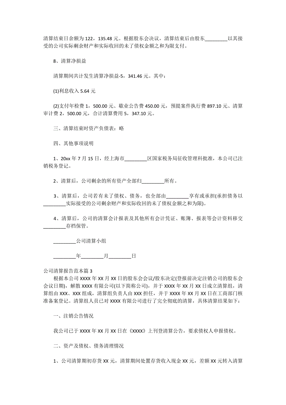 2020最新公司清算报告范本范文_第3页