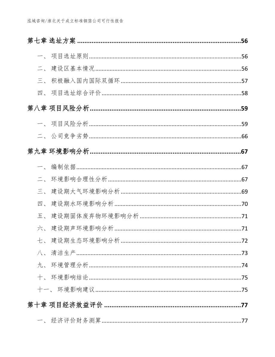 淮北关于成立标准铜箔公司可行性报告【参考模板】_第5页