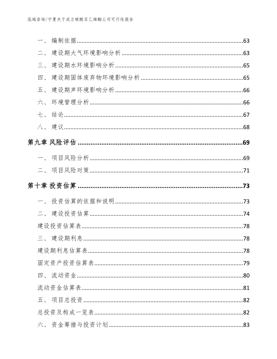 宁夏关于成立碳酸亚乙烯酯公司可行性报告_第4页