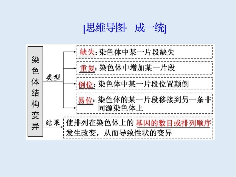 版高考生物精准备考一轮全国通用版课件：必修2 第三单元 第2讲　染色体变异和生物育种_第5页