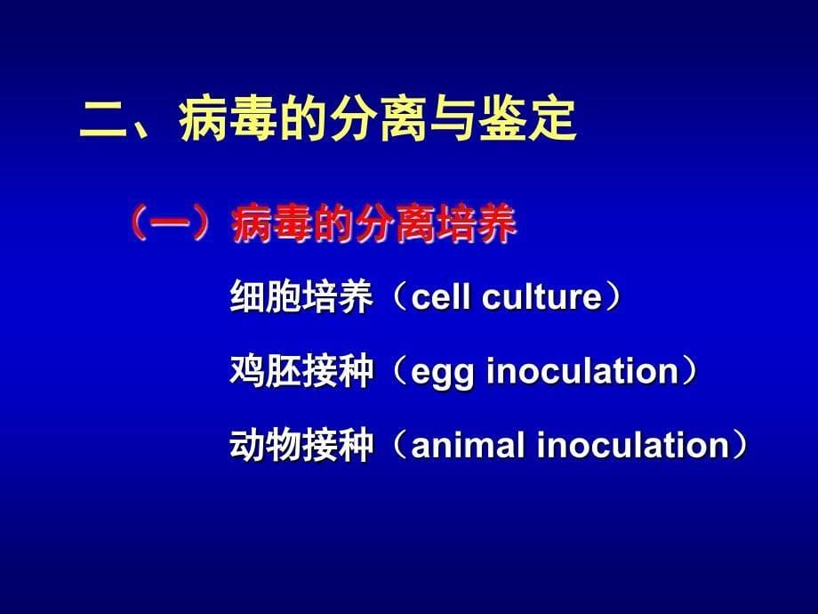 第5章病毒感染的检查方法与防治原则模板_第5页