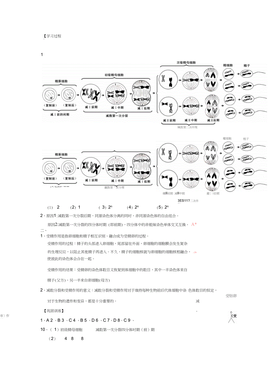 广东省佛山市高中生物第2章基因和染色体的关系第1节受精作用导学案新人教版必修2_第4页