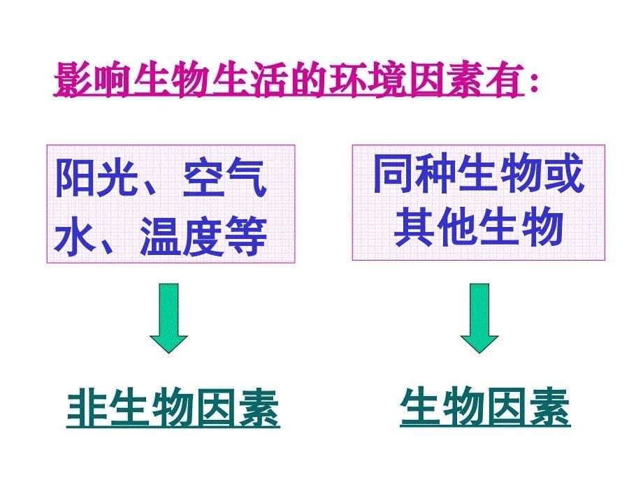 第一节生物与环境的关系_第5页