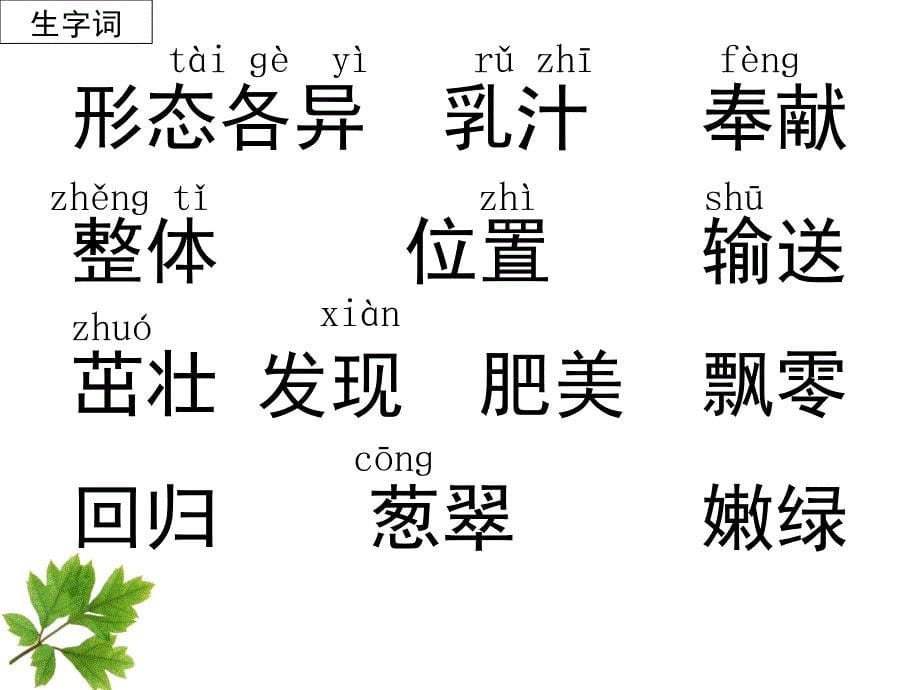 苏教版语文三上4、做一片美的叶子_第5页