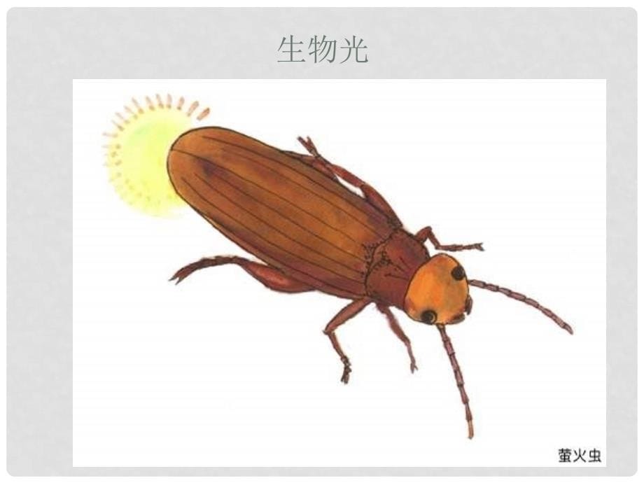 七年级科学下册 2.4 光和颜色课件1 浙教版_第5页