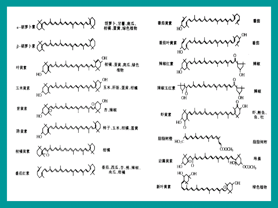 类胡萝卜素PPT课件_第3页