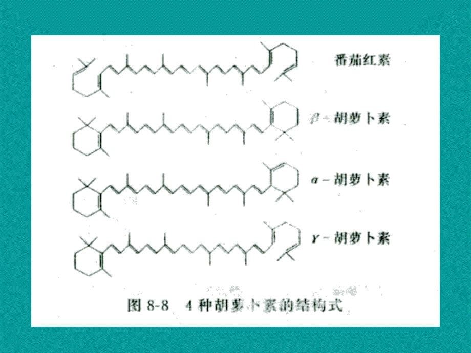 类胡萝卜素PPT课件_第5页