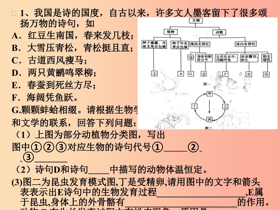 山东省青岛市2019年中考生物 专题复习7 生物的多样性课件.ppt_第5页