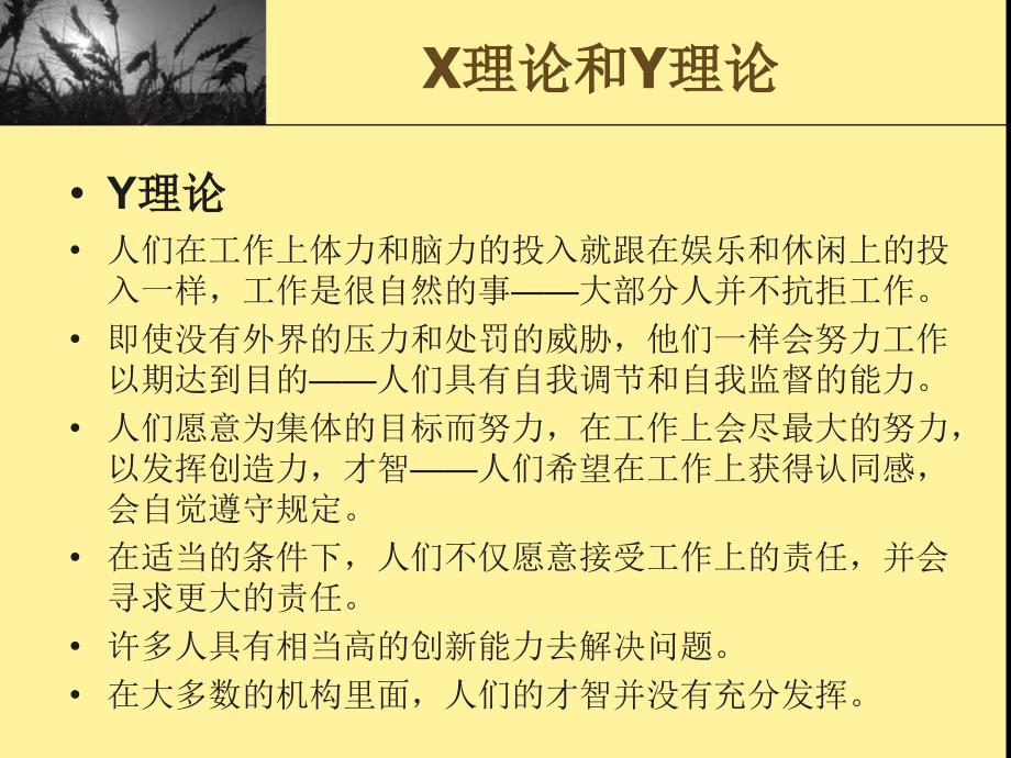 管理学基础：X理论和Y理论_第3页