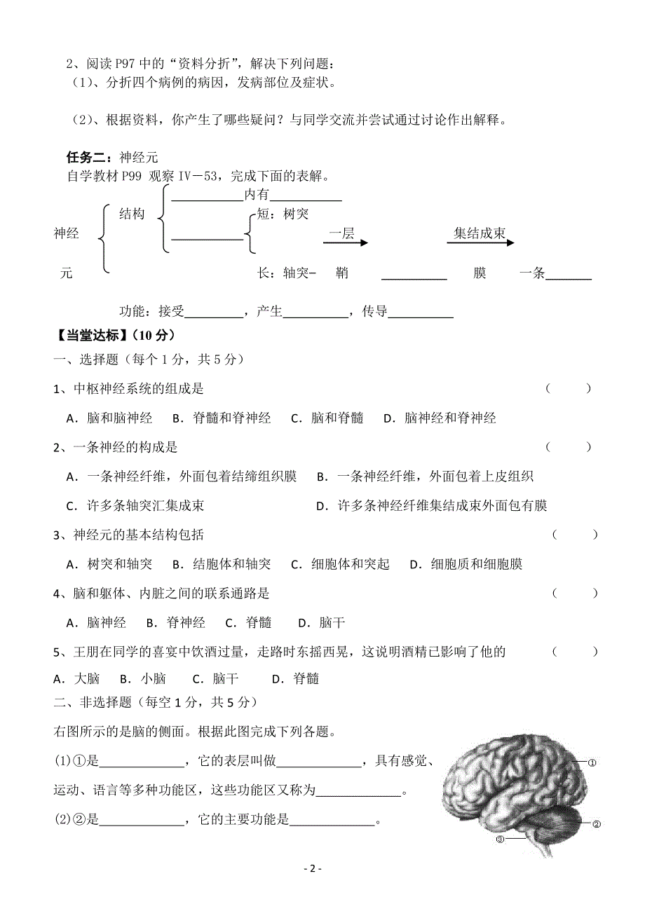 新神经系统的组成导学案_第2页