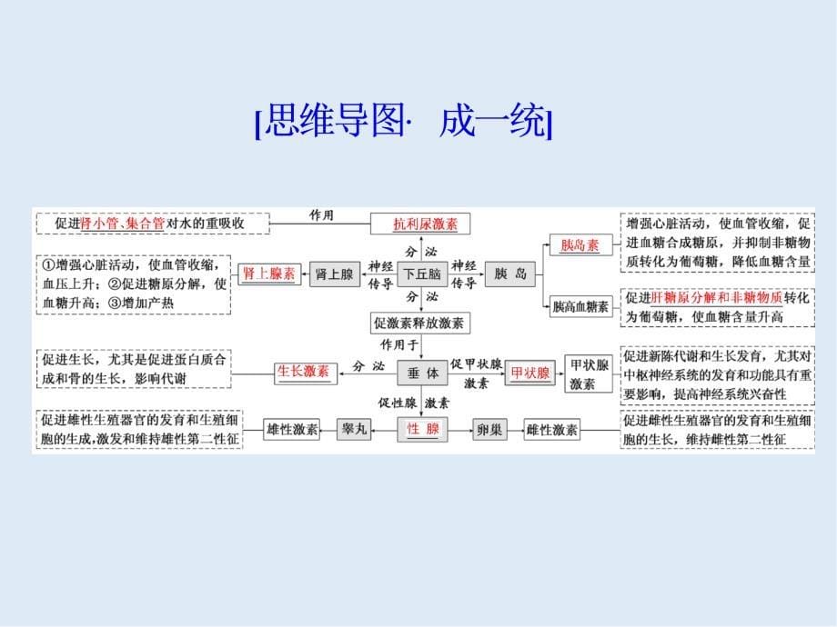 版高考生物精准备考一轮全国通用版课件：必修3 第一单元 第3讲　通过激素的调节_第5页