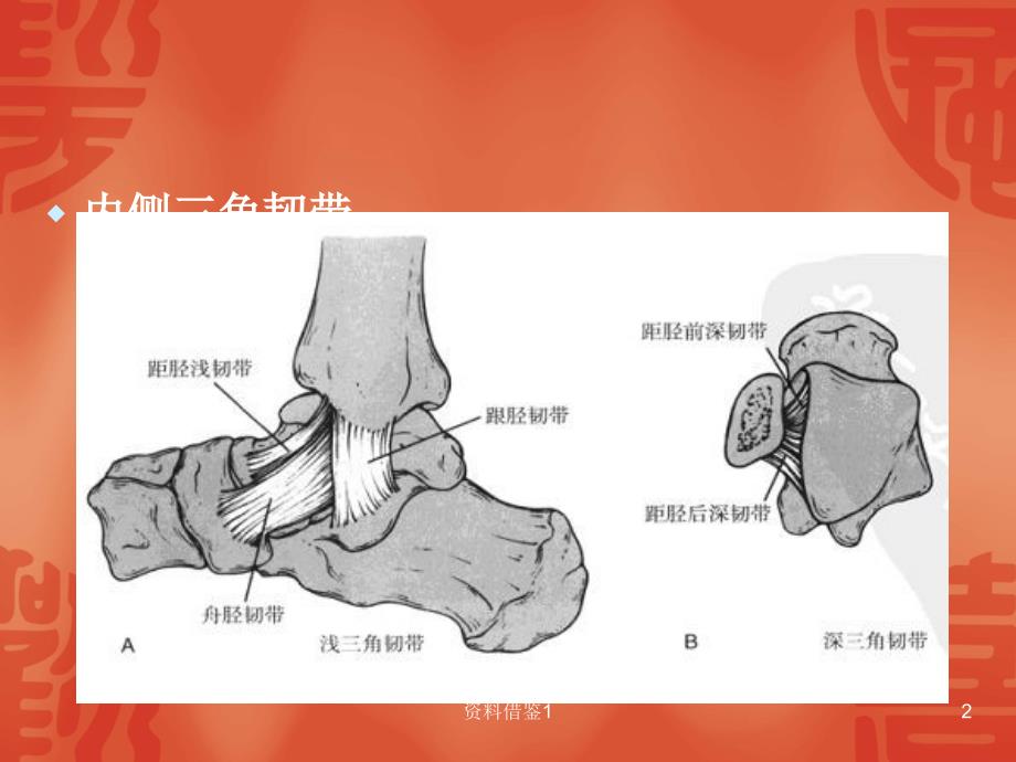 踝关节骨折分型行业荟萃_第2页