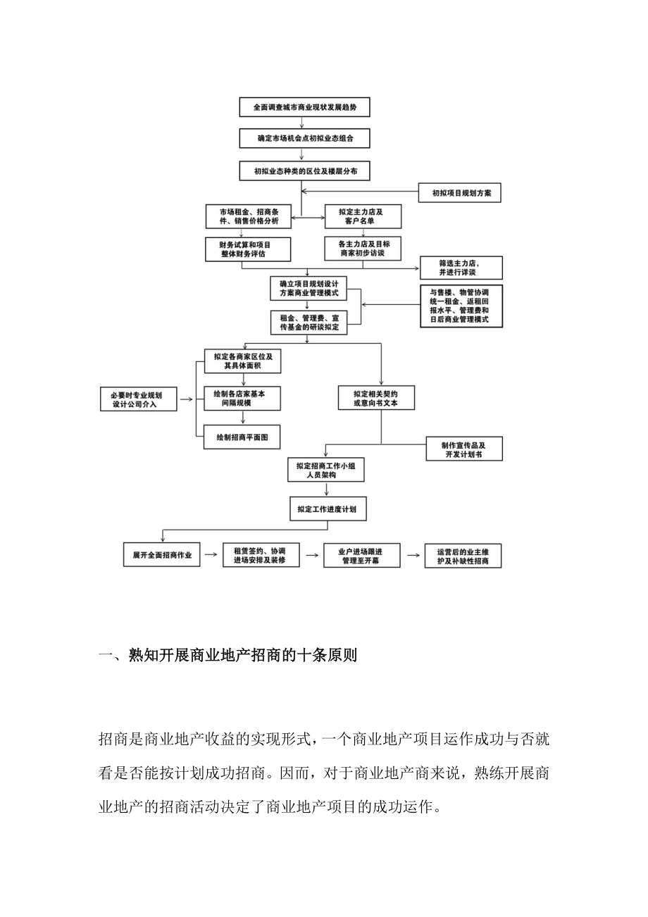 商业地产购物中心成功招商方案分析执行_第2页