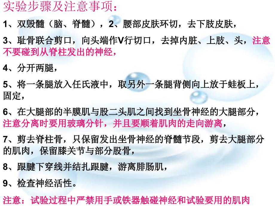 蛙坐骨神经腓肠肌标本的制备_第3页