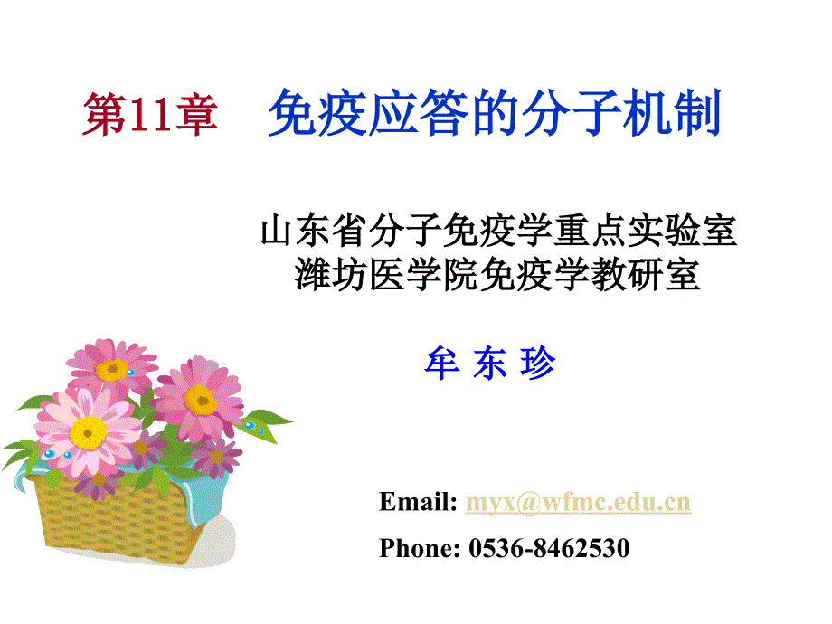 免疫应答的分子机制.ppt_第1页