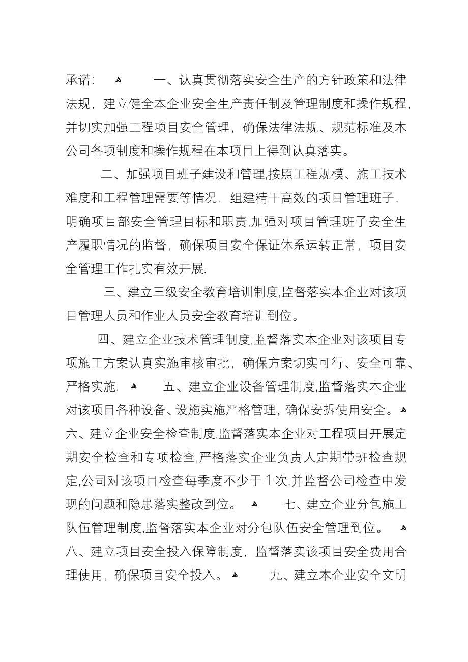 受让人按原备案开发利用方案进行生产承诺书.docx_第5页