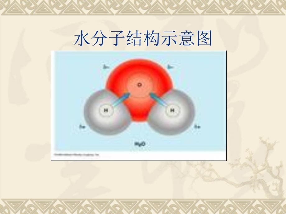 11.1与三角形有关的线段2[精选文档]_第5页