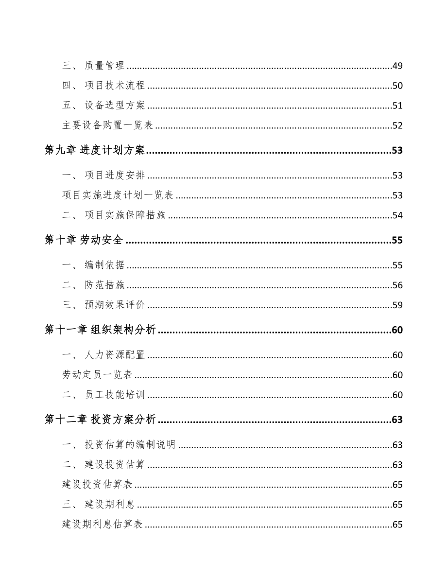 荣昌区数码配套产品项目可行性研究报告(DOC 73页)_第3页