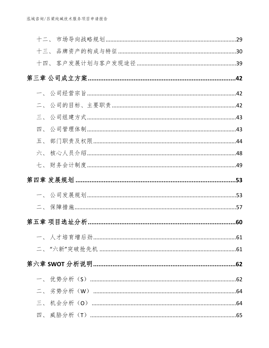 吕梁纯碱技术服务项目申请报告（模板范文）_第3页