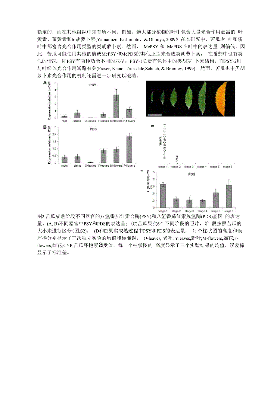 苦瓜类胡萝卜素含量和八氢番茄红素合酶和八氢番茄红素脱氢酶基因的表达_第4页