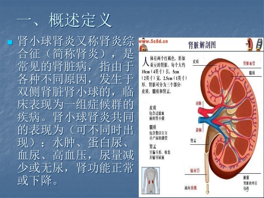 肾小球肾炎的护理查房ppt课件_第3页