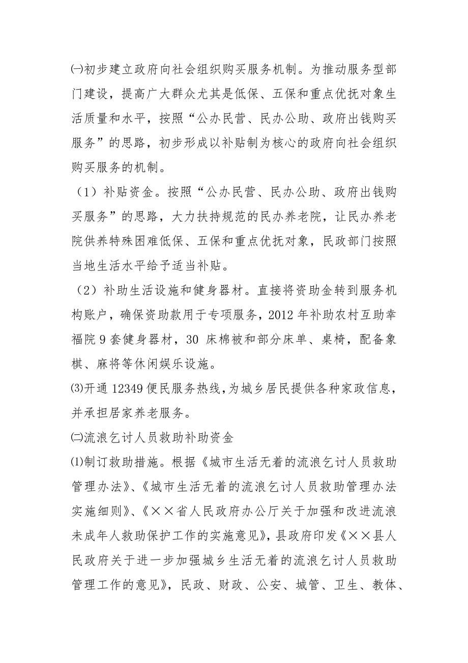 民政专项资金管理使用情况工作总结精选.docx_第5页