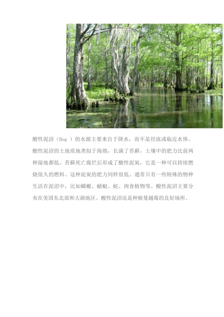 自然湿地类型_第4页