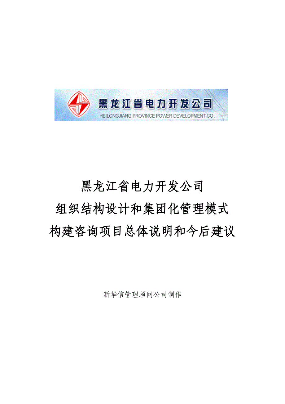 电力开发公司咨询项目--总体说明和今后建议_第1页