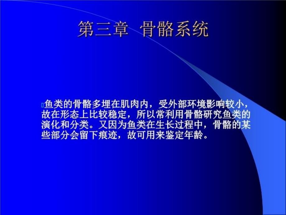 最新形态学鱼类学第三章PPT课件_第4页