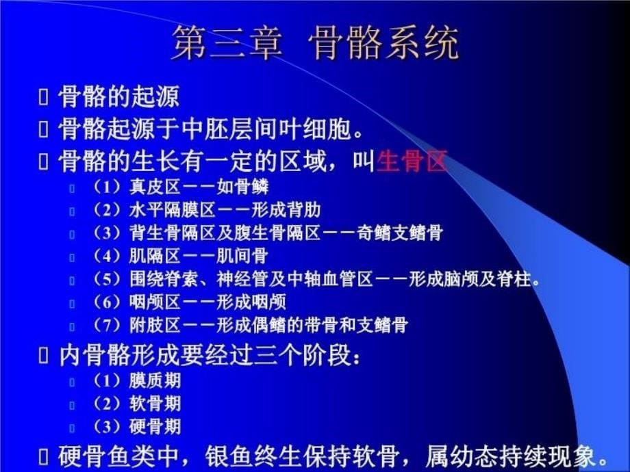 最新形态学鱼类学第三章PPT课件_第5页