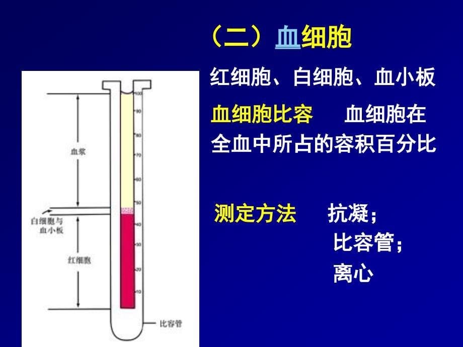 人体解剖生理学完整课件血液_第5页