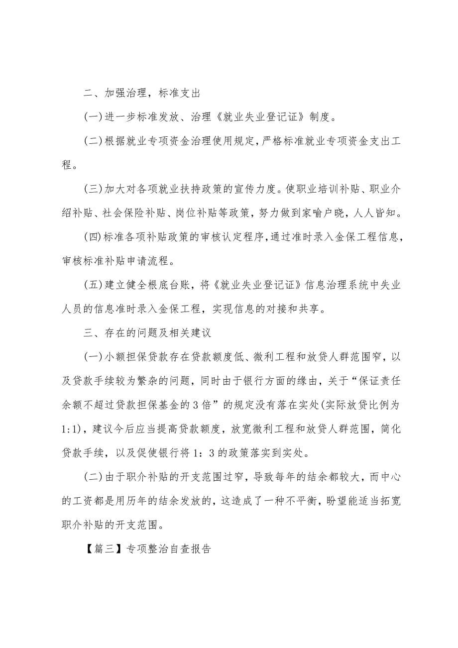 专项整治自查报告.docx_第5页