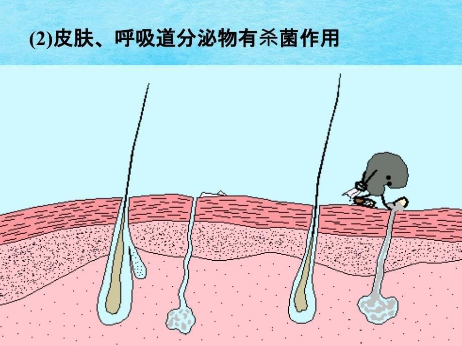 科学下册身体的防卫一浙教版ppt课件_第5页