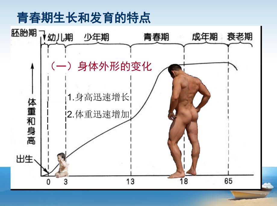 青期男生生理教育课件_第4页