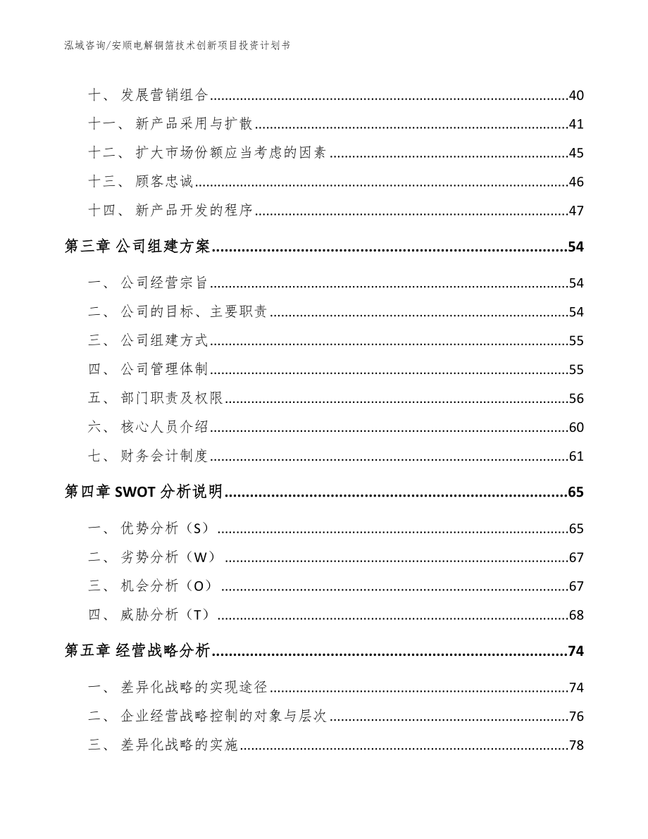 安顺电解铜箔技术创新项目投资计划书_模板_第3页