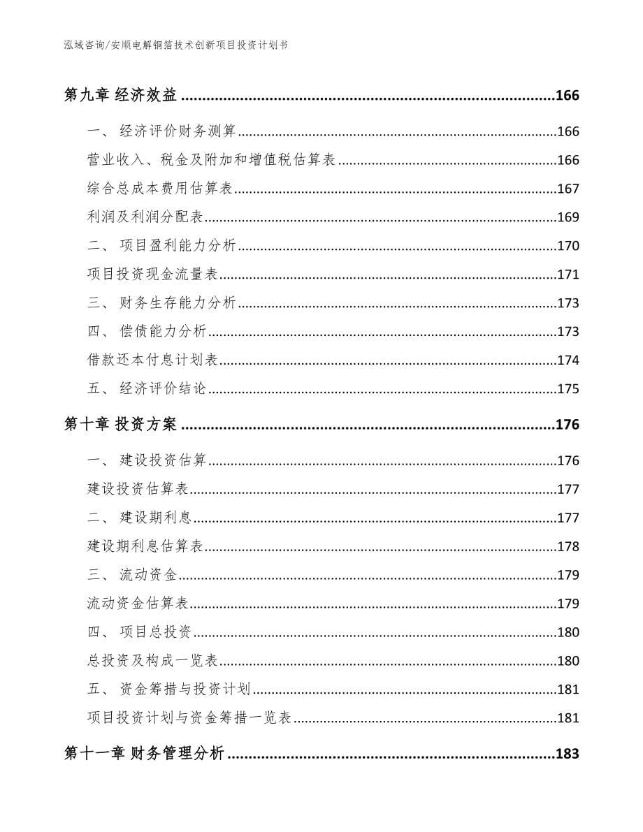 安顺电解铜箔技术创新项目投资计划书_模板_第5页