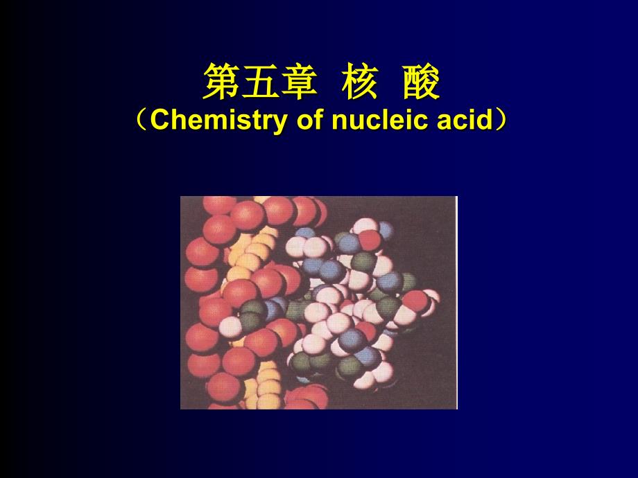 生物化学教学课件：核酸化学_第1页