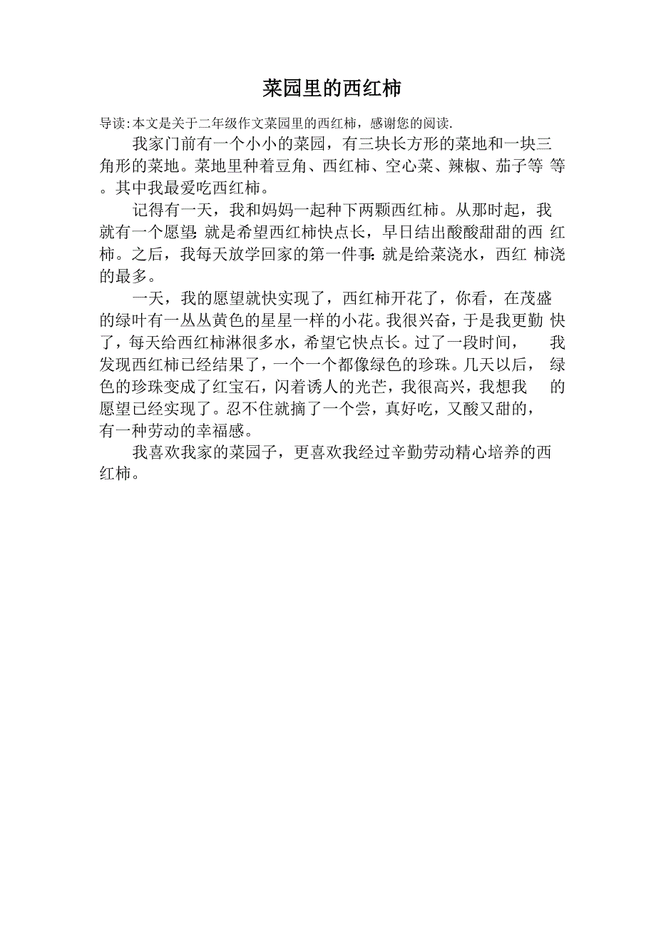 菜园里的西红柿_第1页