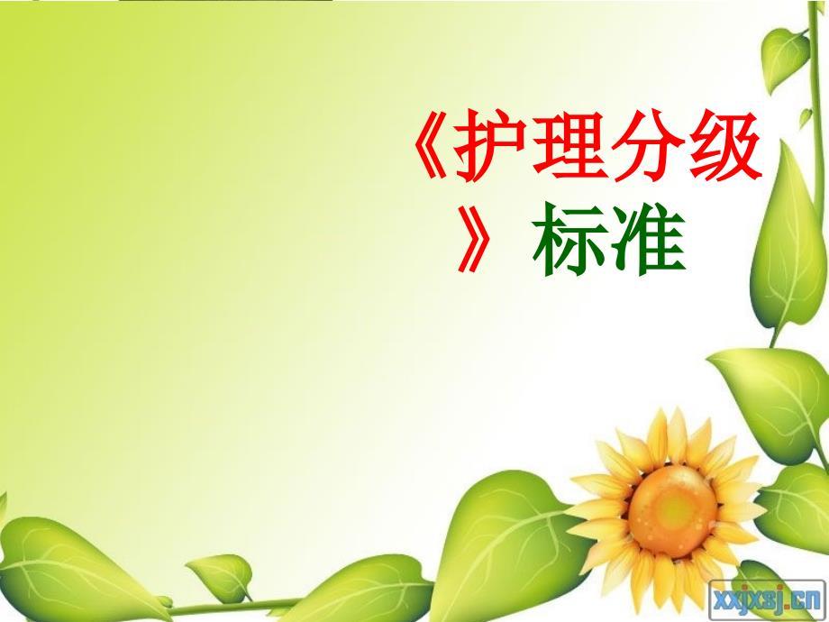 分级护理制度 PPT课件.ppt