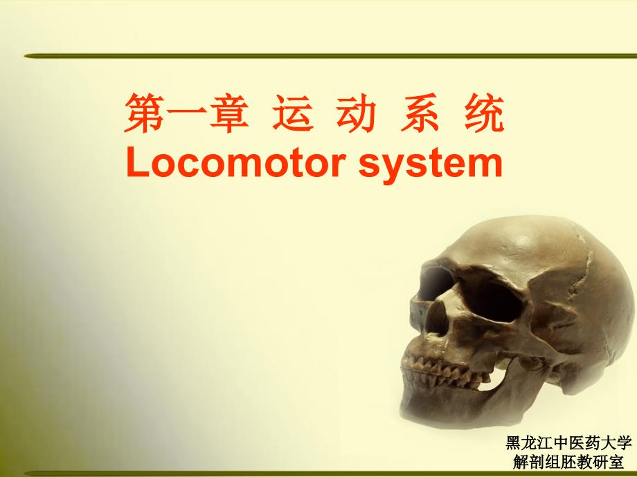 正常人体解剖学第一节骨学1_第1页