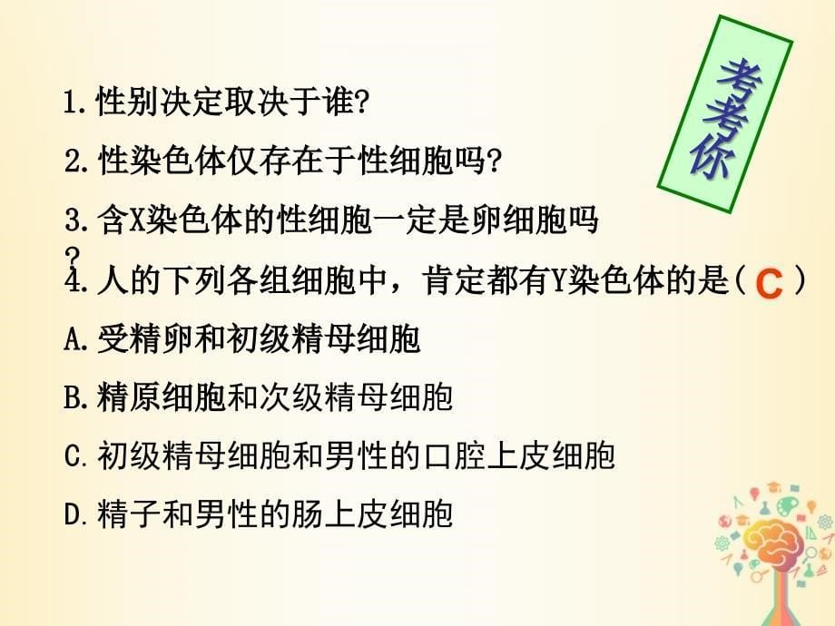 江西省吉安县高中生物第二章基因和染色体的关系2.3伴性遗传课时1课件新人教版必修_第5页