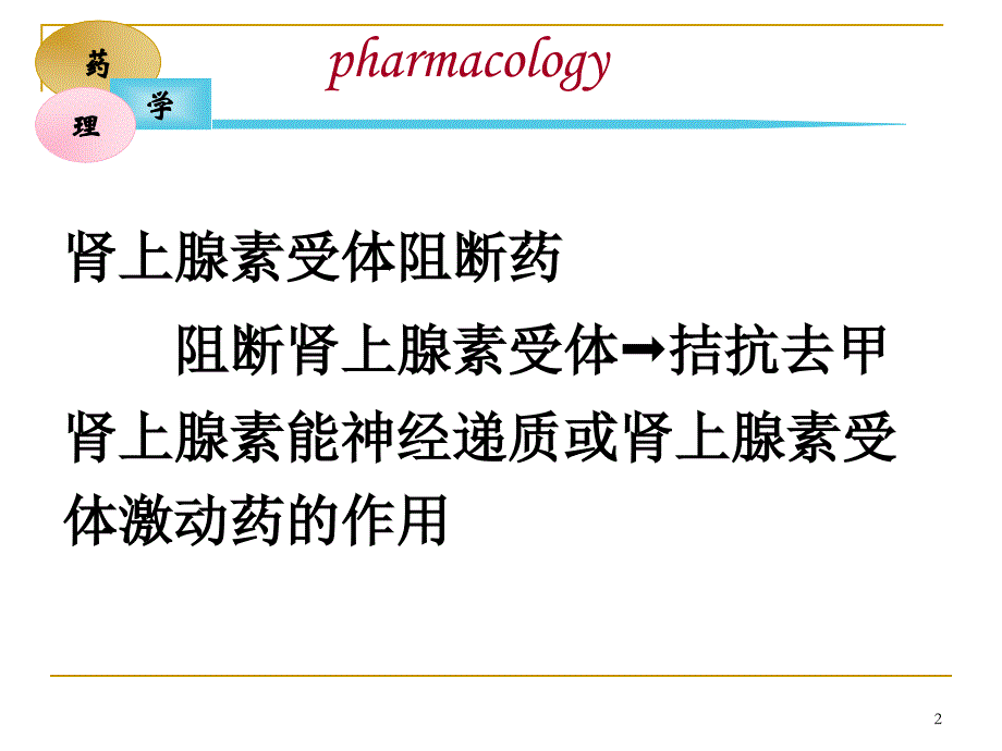 第十一章肾上腺素受体阻断药_第2页