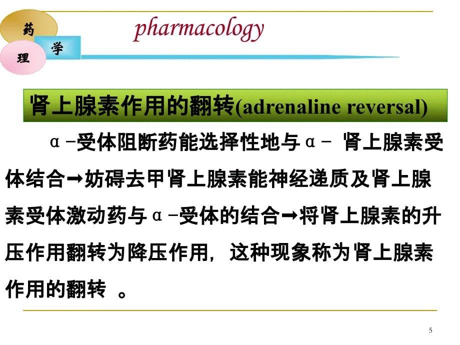 第十一章肾上腺素受体阻断药_第5页