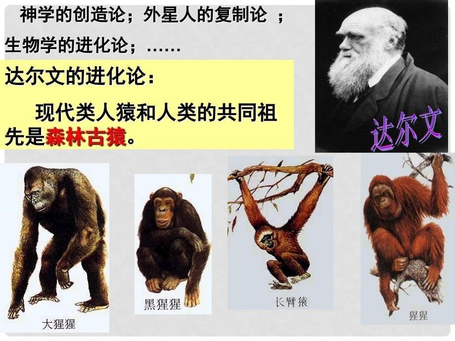 七年级生物下册 第四单元 第一章 第一节 人类的起源和发展课件 （新版）新人教版_第5页