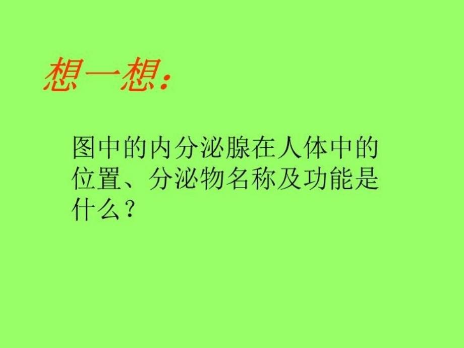 最新垂体分泌生长激素等PPT课件_第3页