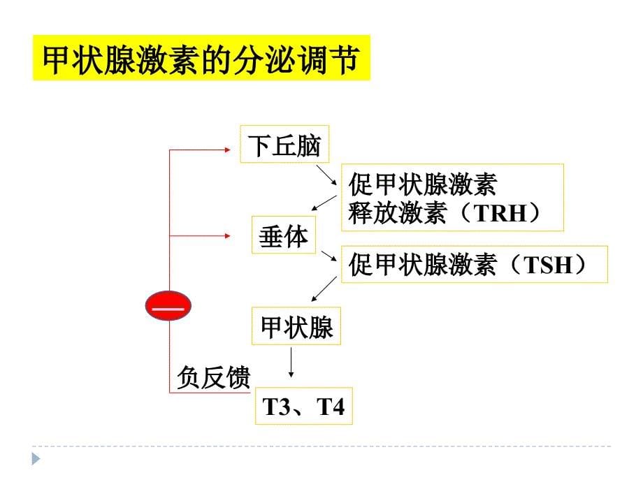 药理学抗甲状腺素药_第5页