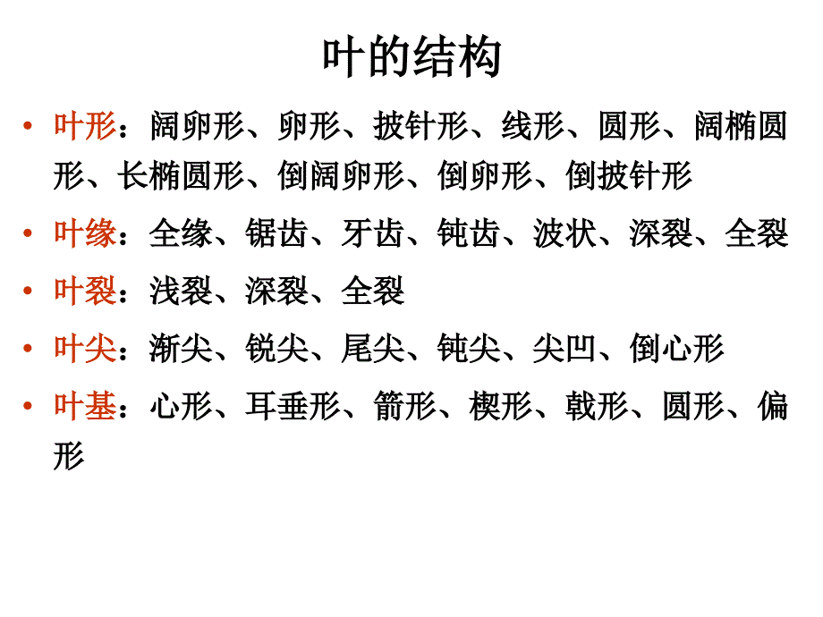 叶的形态特征(上课课件)_第2页